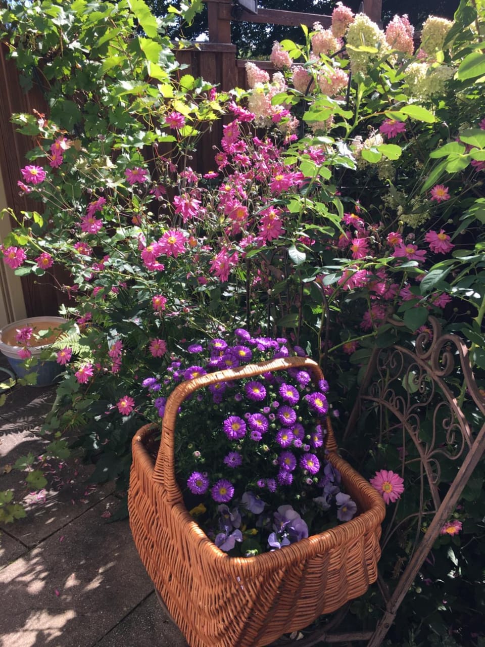 Garden, Garden view