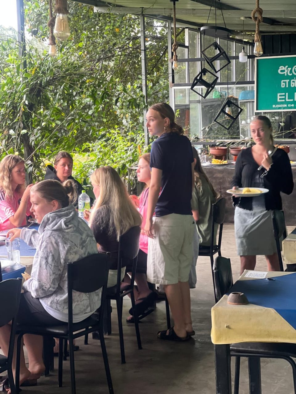 Food and drinks, Food, group of guests