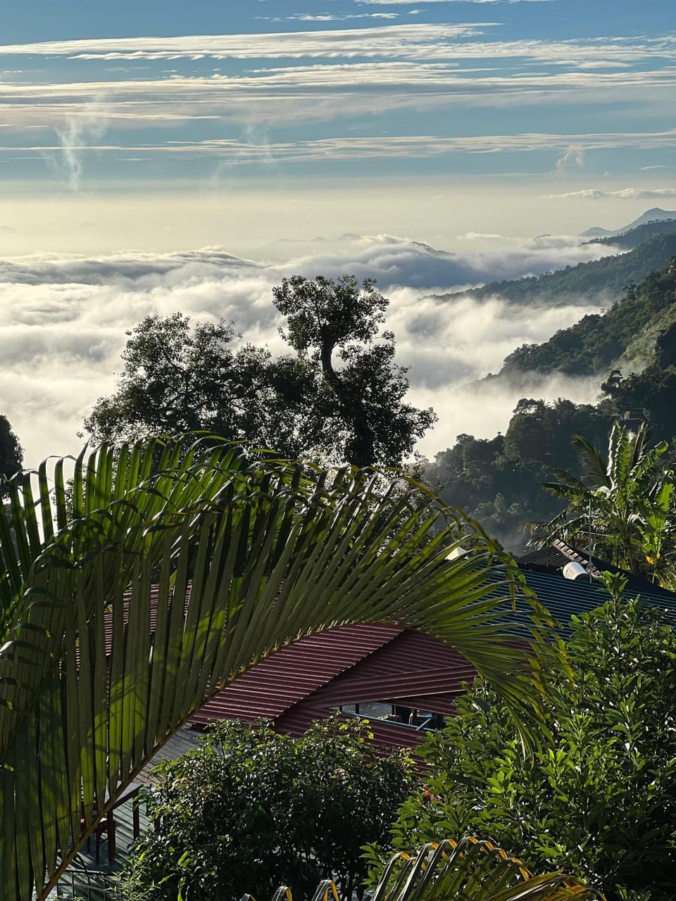 Day, Natural landscape, Mountain view