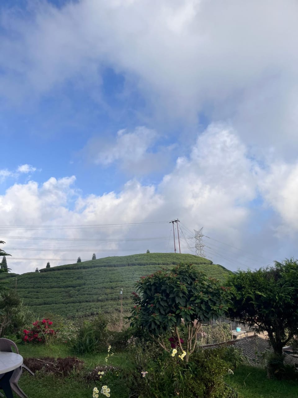Natural landscape