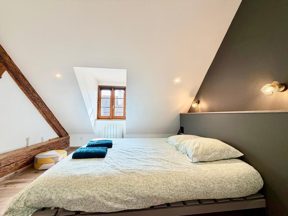 Au grand cœur d'Annecy Apartment in Annecy