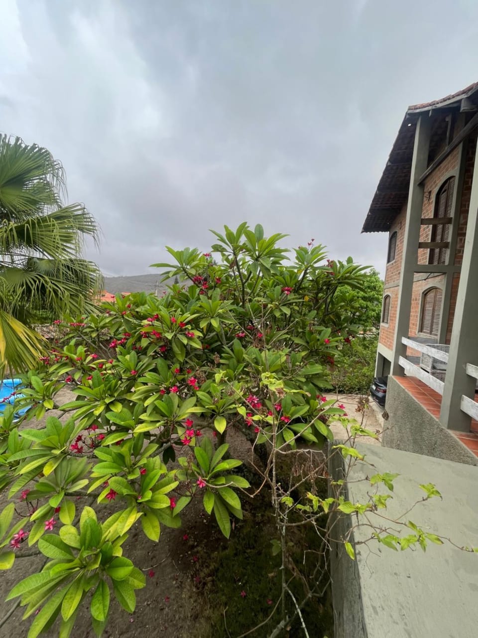 Garden, Balcony/Terrace