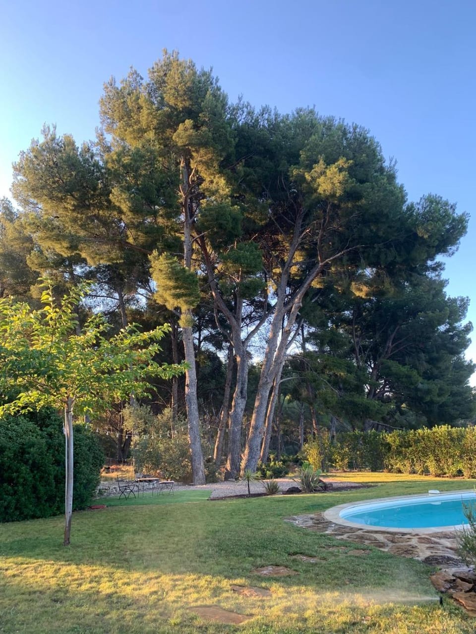 Magnifique villa sur la baie de la Ciotat Villa in La Ciotat