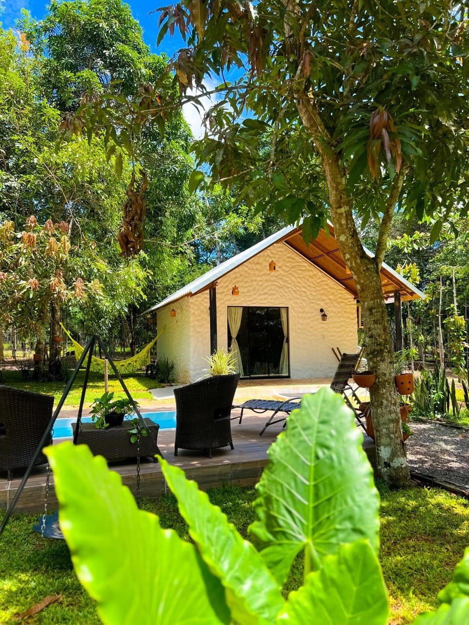 Natural landscape, Garden, View (from property/room), Garden view, Pool view, Swimming pool