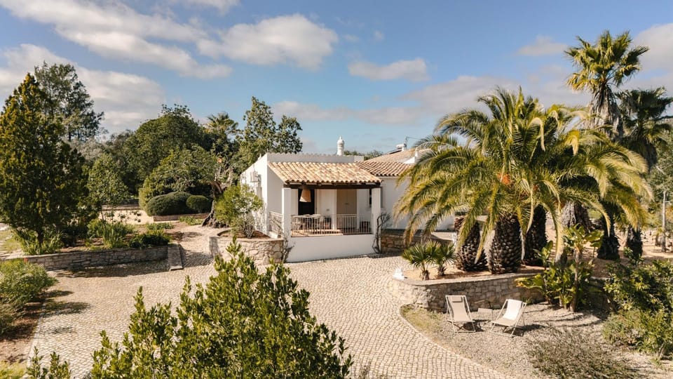 Property building, Garden view