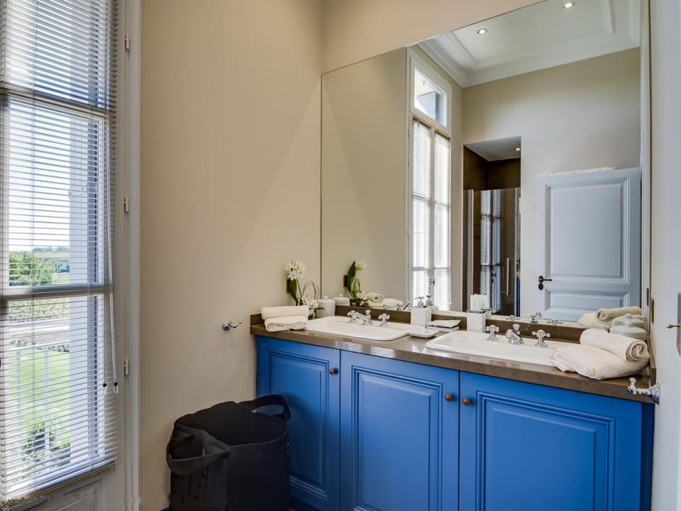 Luxury Château Apartment 2 Suites & Vineyard View Apartment in Nouvelle-Aquitaine