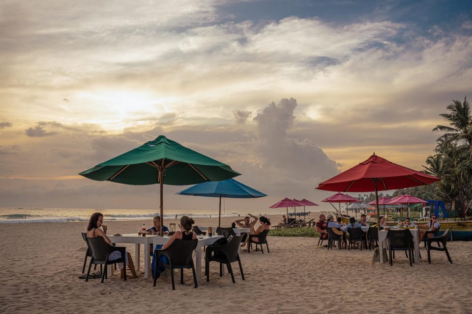 Villa Jungle & Wiener Hotel in Southern Province