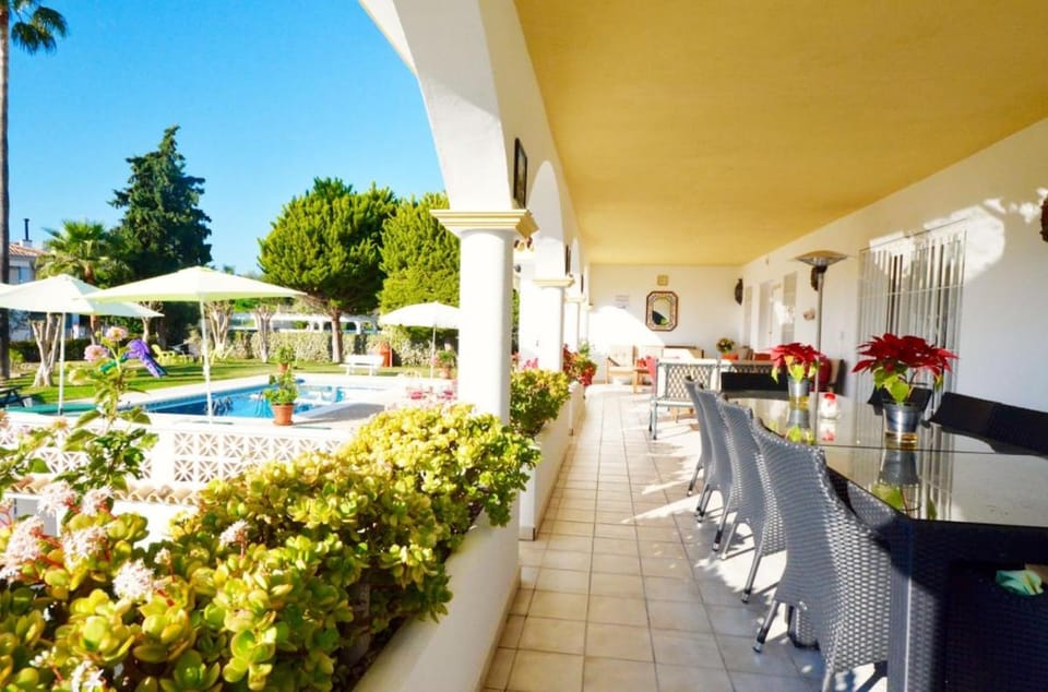 Garden, Swimming pool