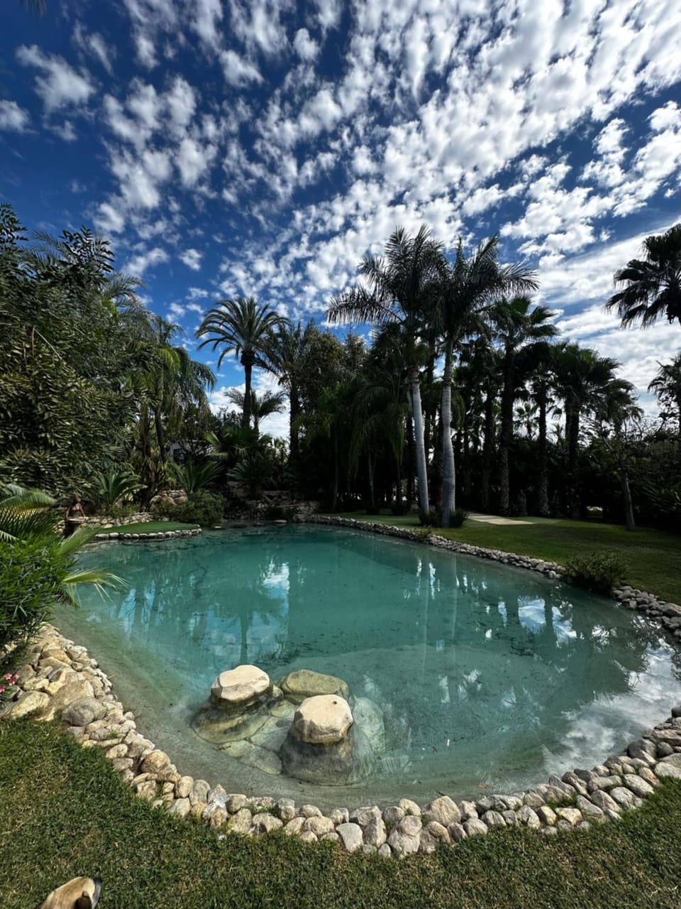 Jardín Tropical Exclusive Villas Villa in San Jose del Cabo