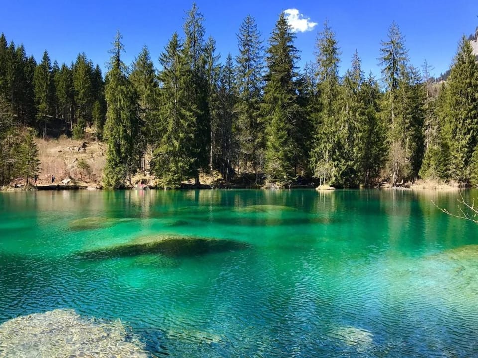 Flims Laax, Parking, Ski, Ski room, Self Check-in Wi-Fi Caumasee Apartment in Canton of Grisons