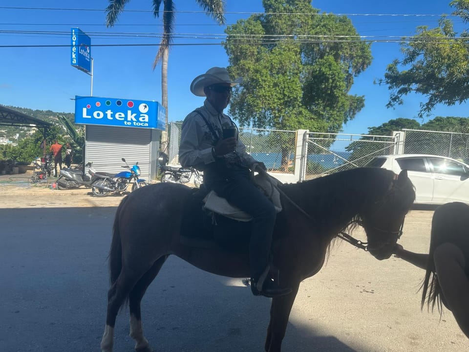 Nearby landmark, Day, People, Horse-riding, Animals