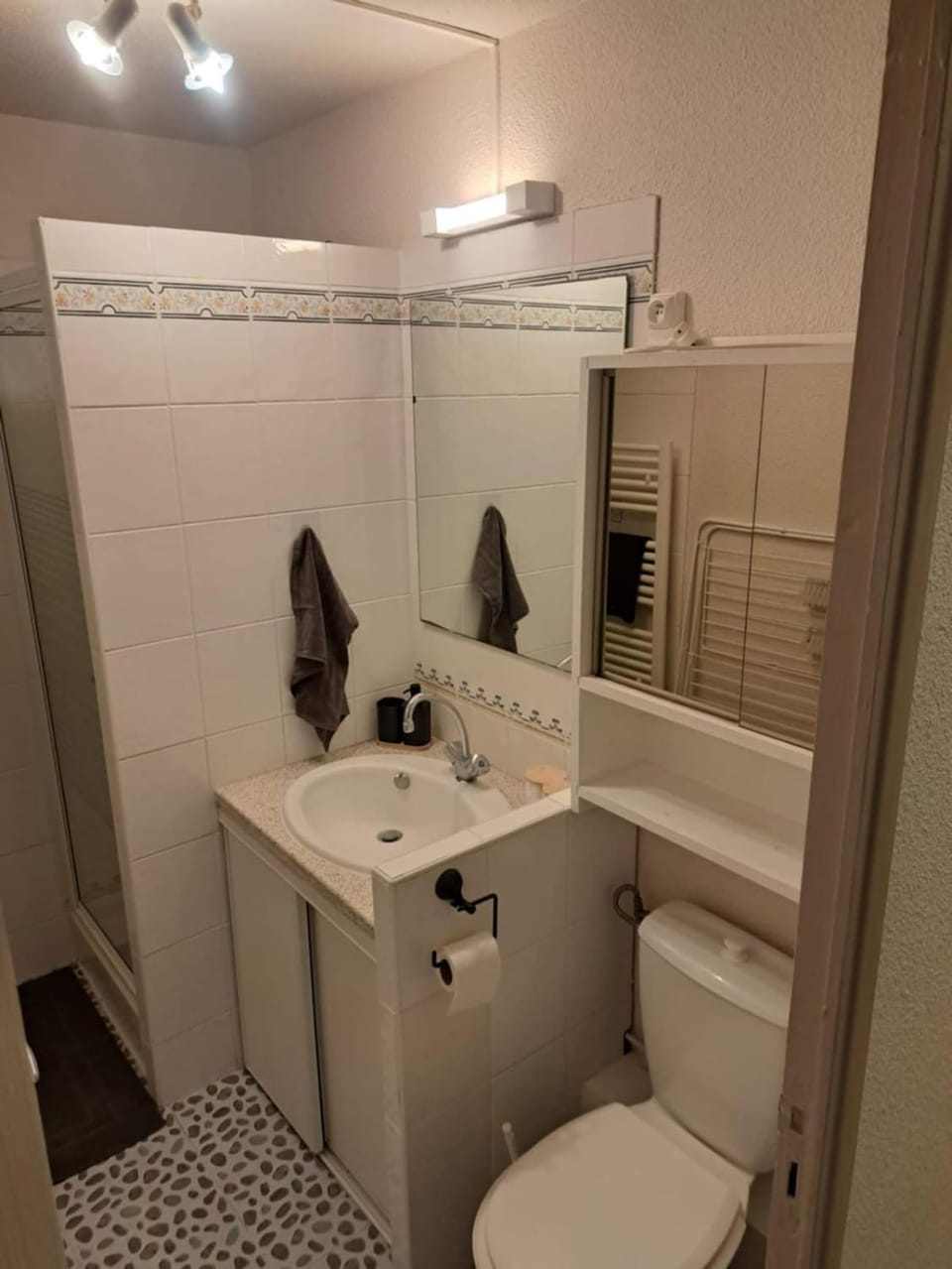 Toilet, Bathroom