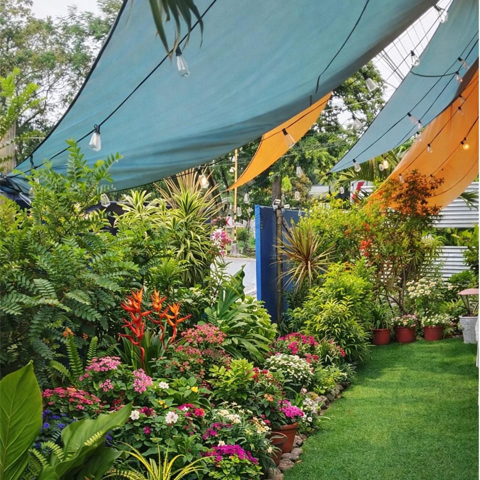 Garden view