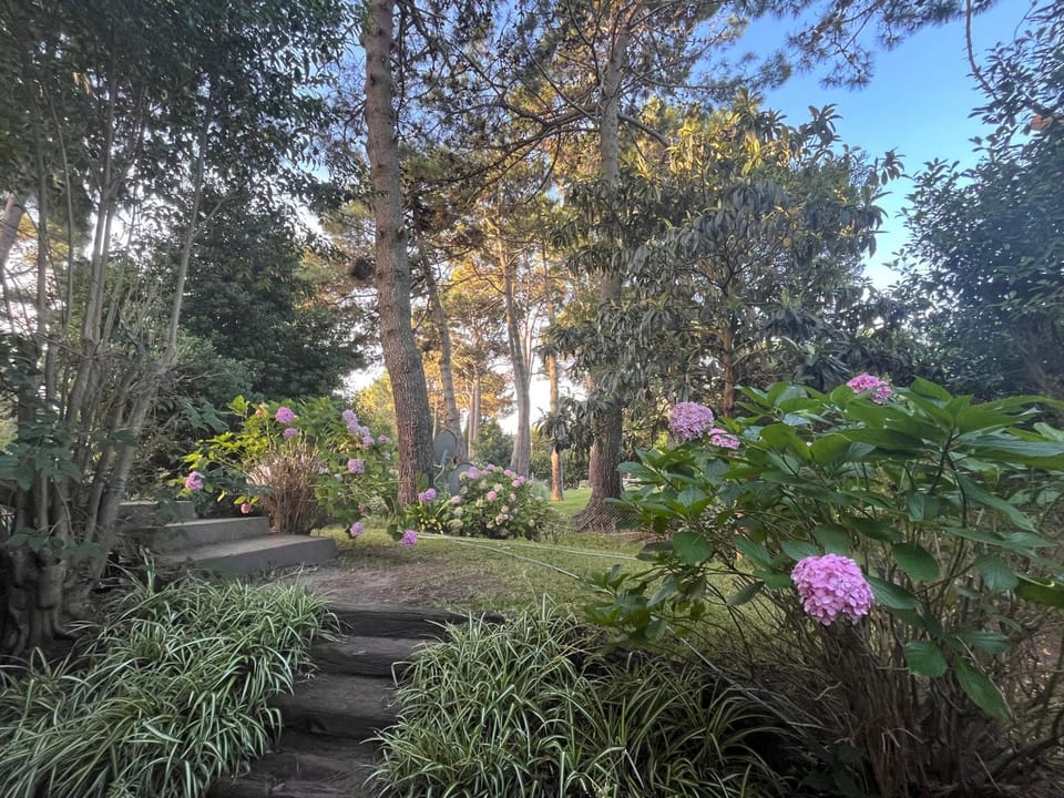 Spring, Day, Natural landscape, Garden, Garden view