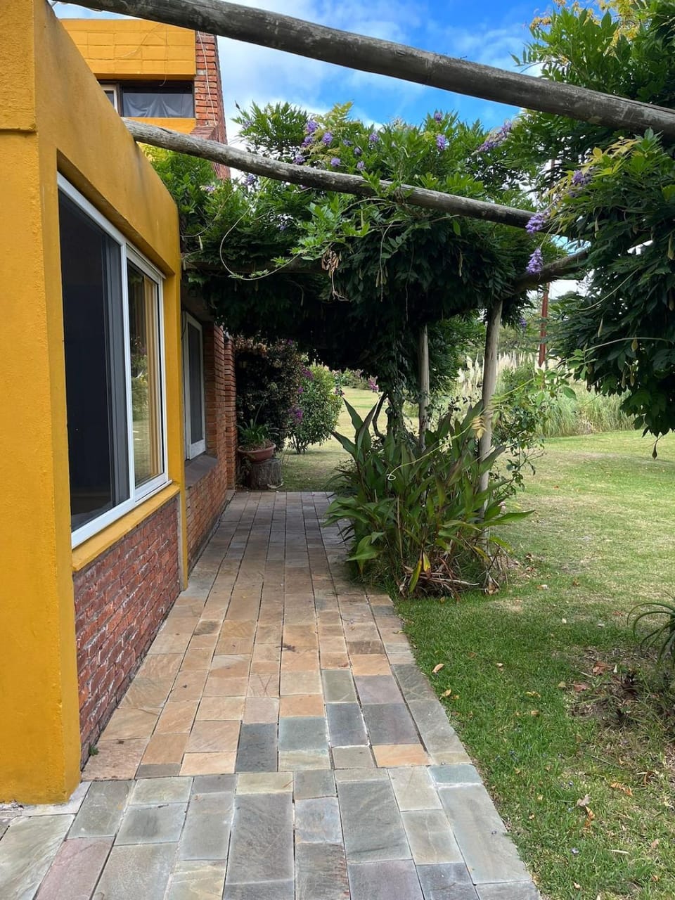 Garden view