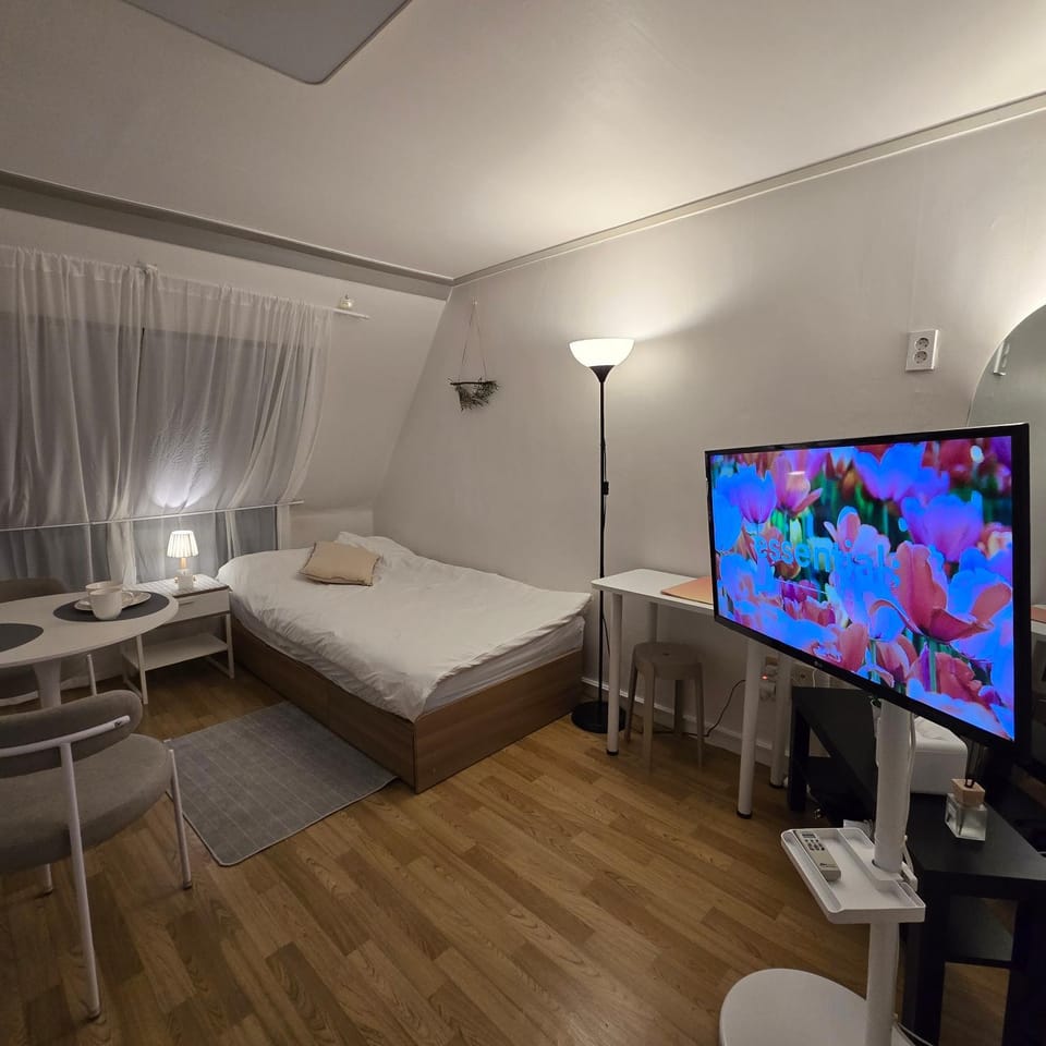 Bed, TV and multimedia, Photo of the whole room, Bedroom