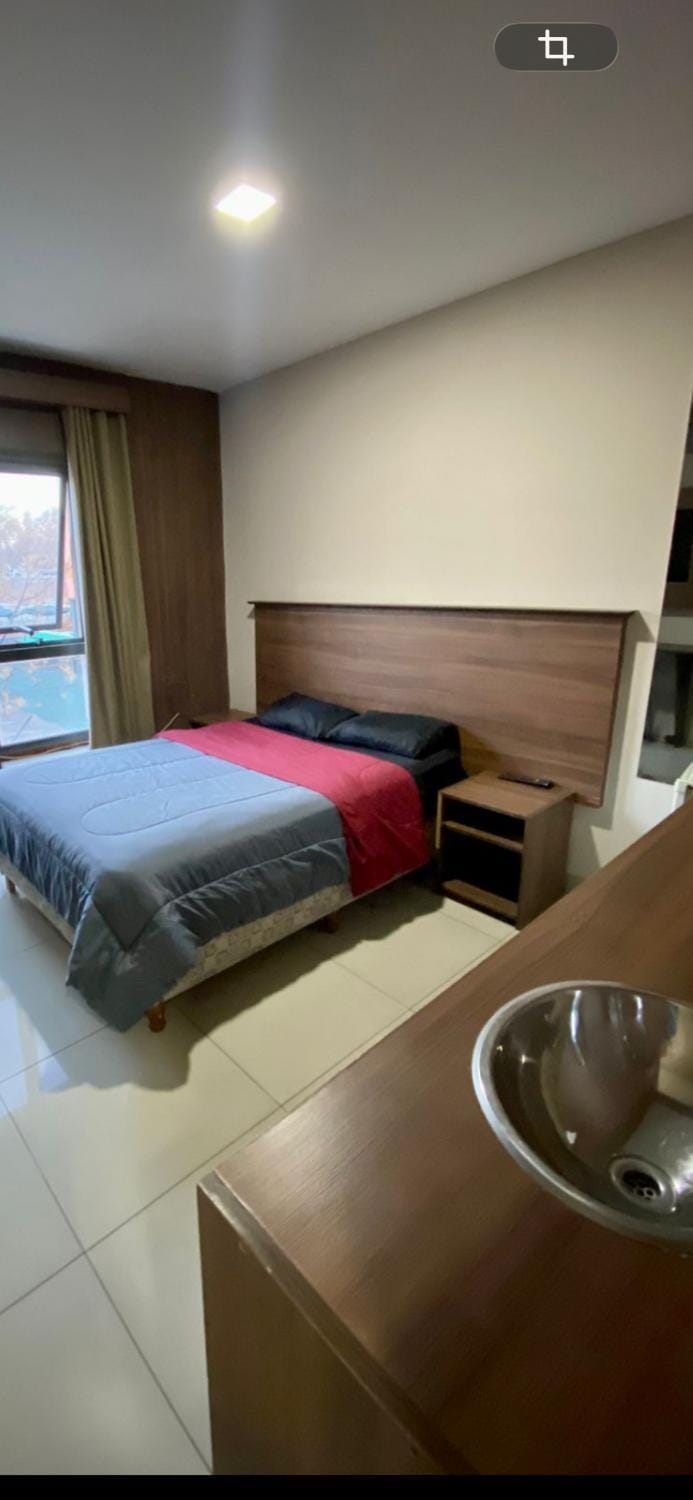Centro Mendoza Bienvenida tu mascota Apartment in Mendoza