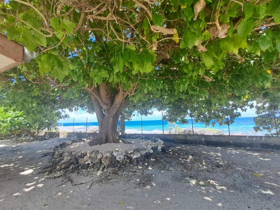 Sea view, Sea view