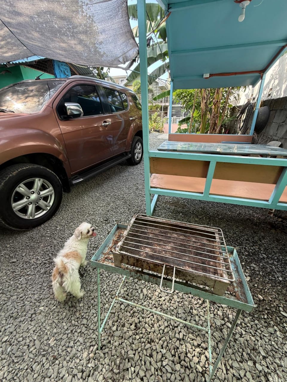BBQ facilities