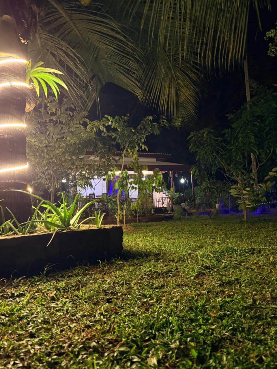 Natural landscape, Garden, Garden view