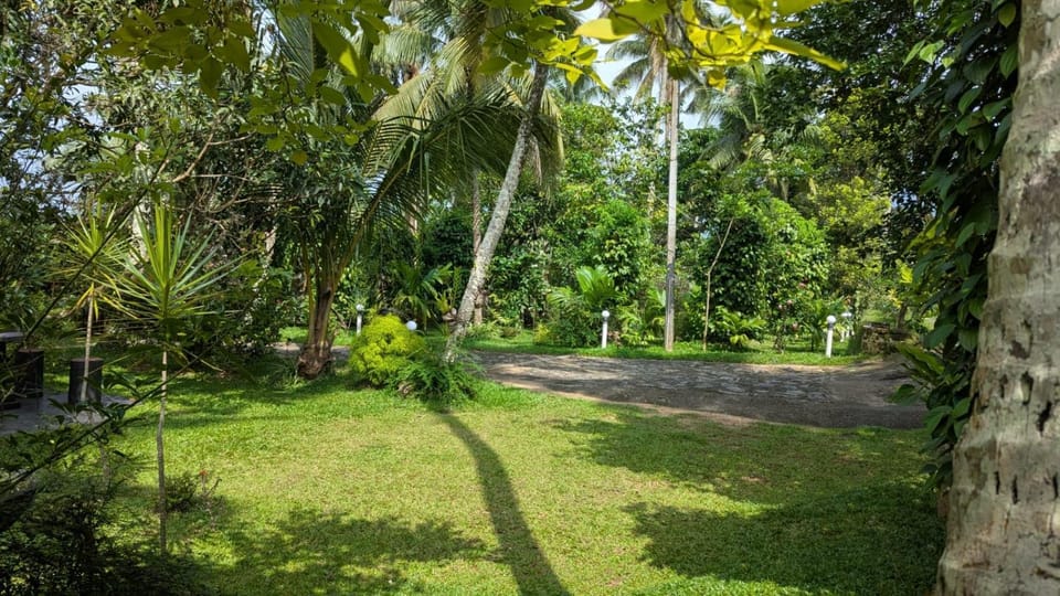 Day, Natural landscape, Garden, Garden view