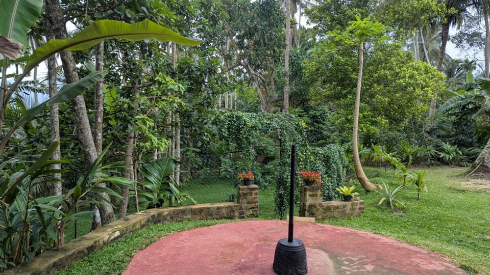 Day, Natural landscape, Garden, Garden view