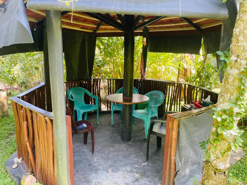 Day, Garden, Seating area