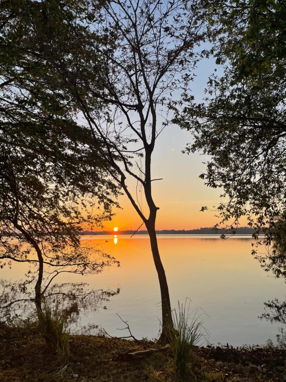 View (from property/room), Sunrise