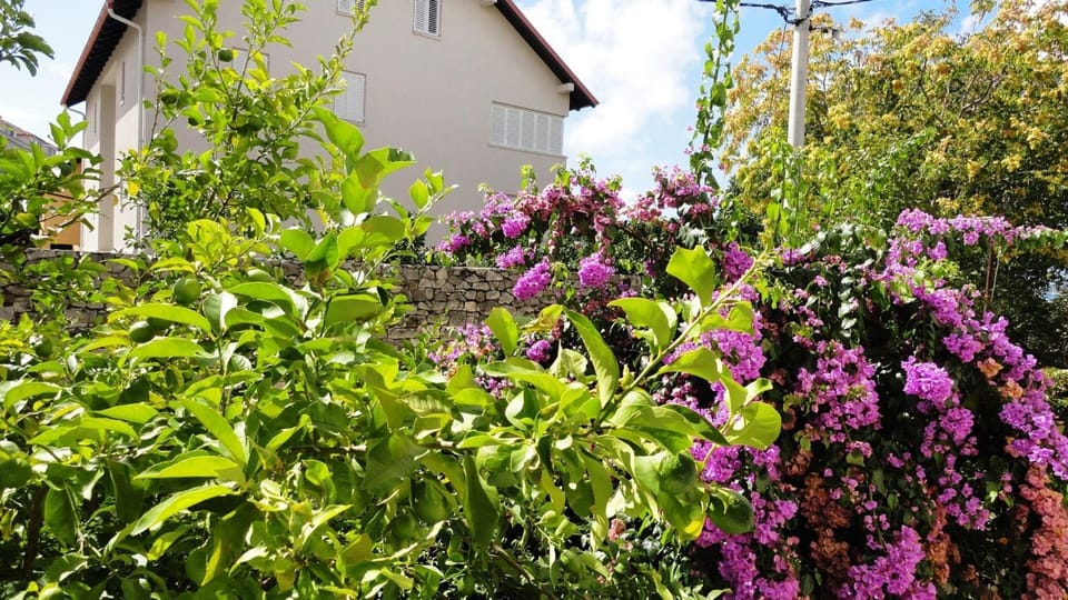 Off site, Garden, Garden view