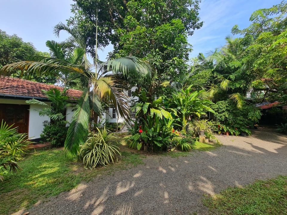Hill Side Kings Villa Bed and Breakfast in Hikkaduwa