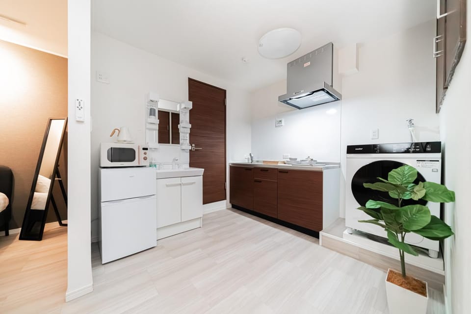 Kitchen or kitchenette, stove, washing machine, dryer