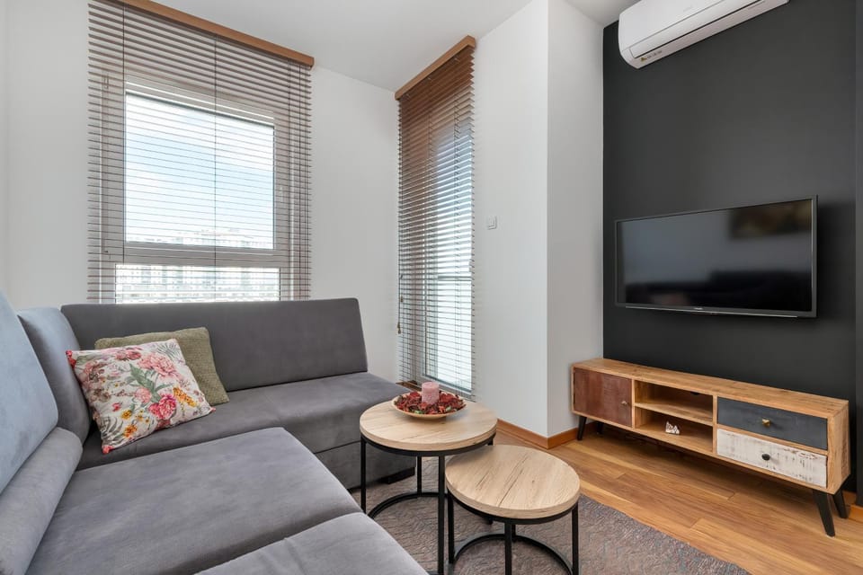 TV and multimedia, Seating area, air conditioner
