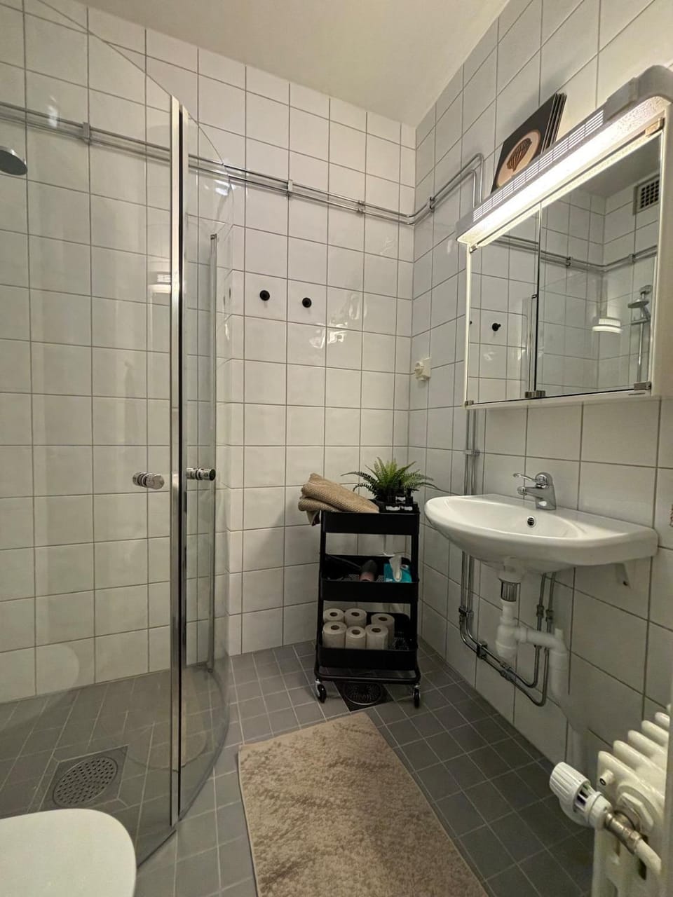 Shower, Toilet, Bathroom