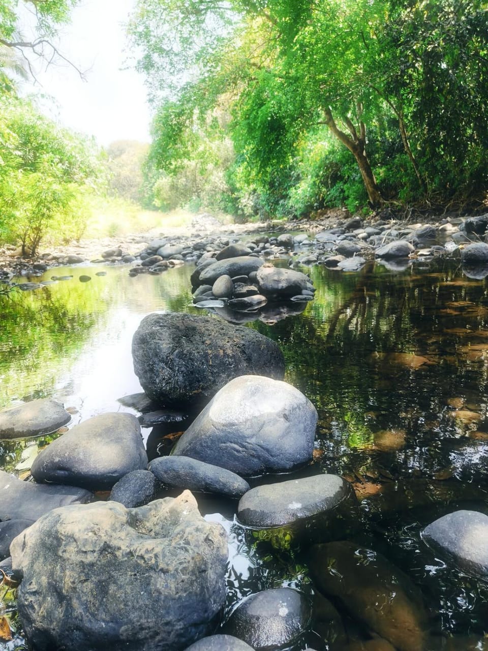 River view