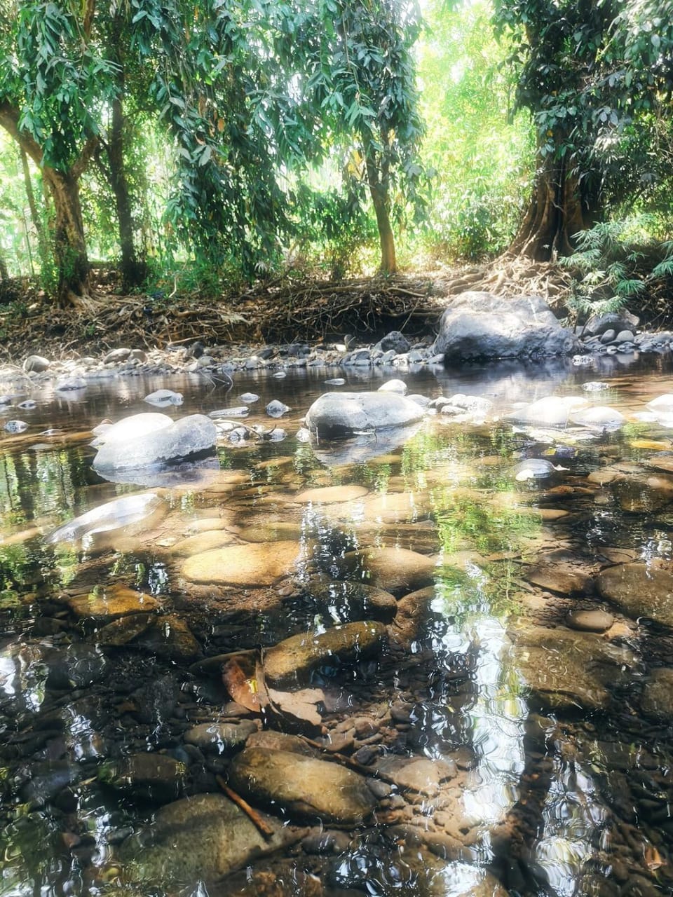 River view