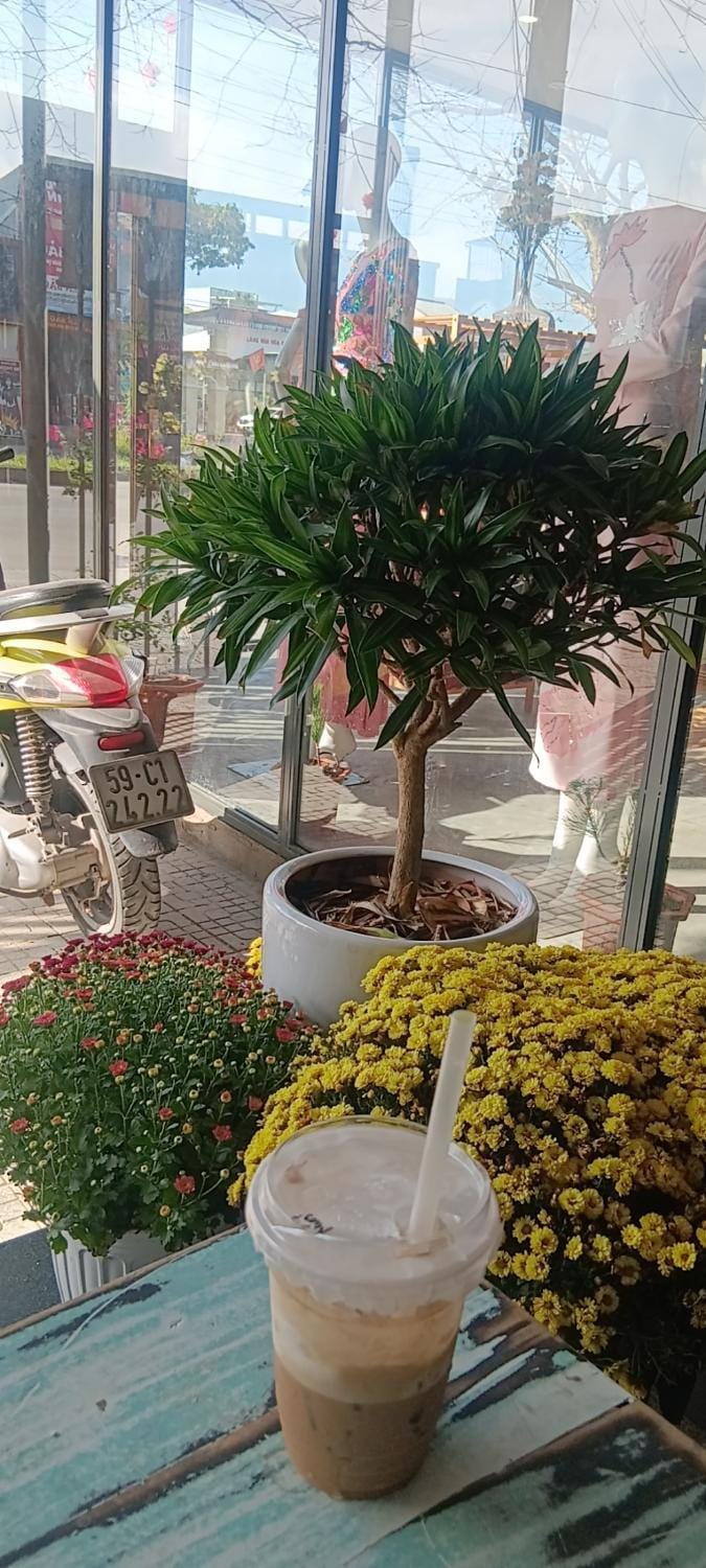 LUNA House Vacation rental in Laos