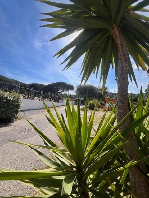 Camping La Provençale - Maeva Campground/ 
RV Resort in Mandelieu-La Napoule