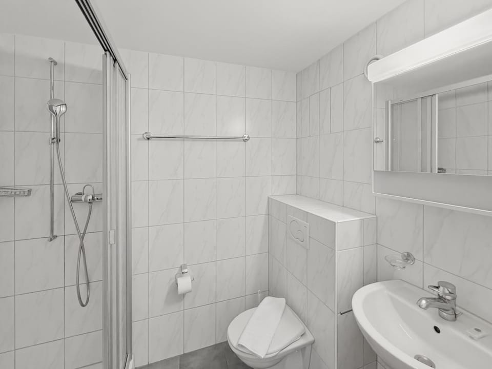 Shower, Toilet, Bathroom, towels