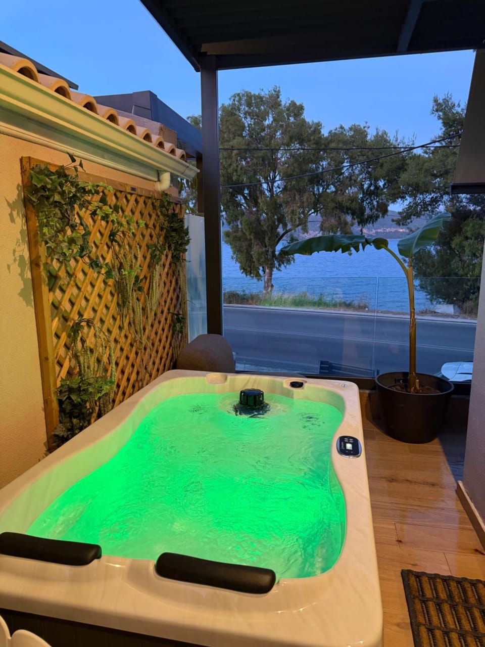 Natural landscape, Hot Tub, Pool view