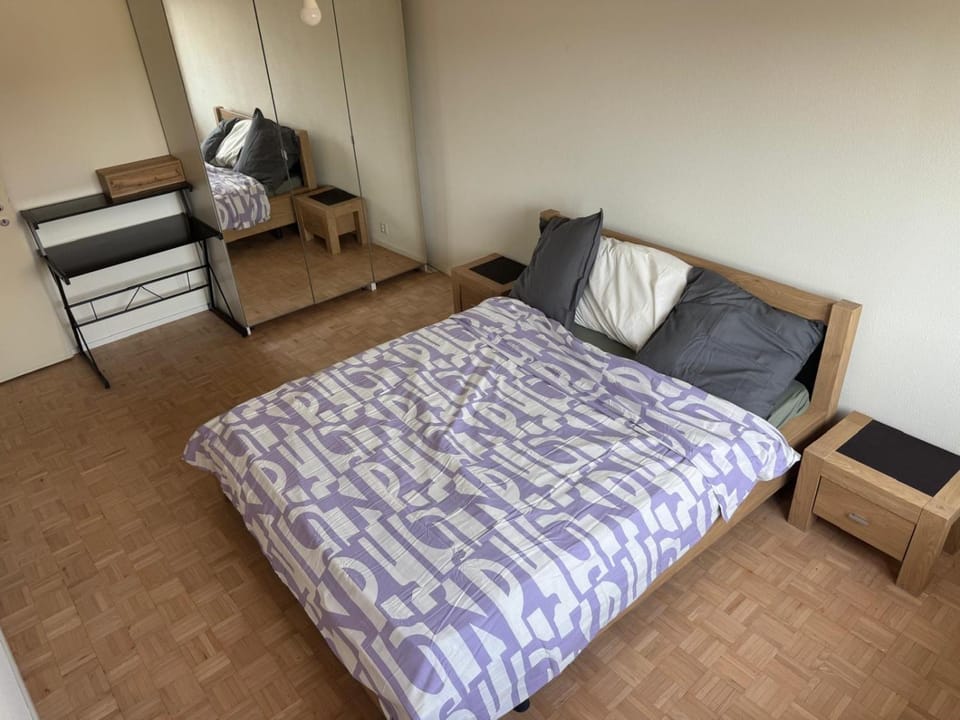 Shared Apartment in central Luzern Vacation rental in Lucerne