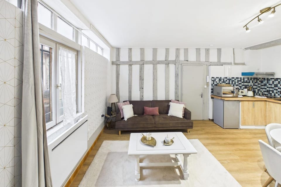 Le Bouchon De Champagne Apartment in Troyes