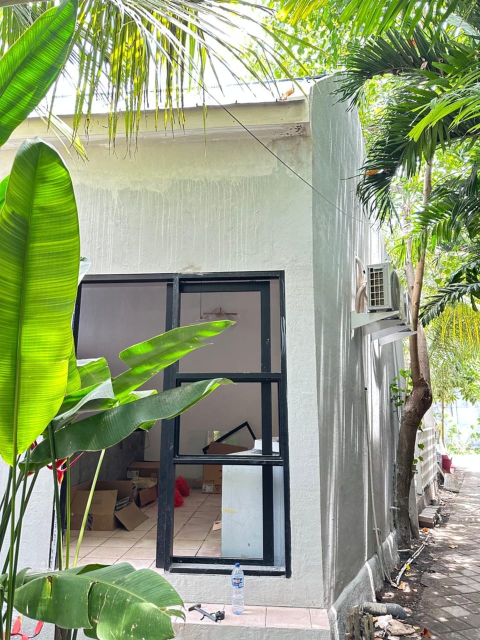 Garden view