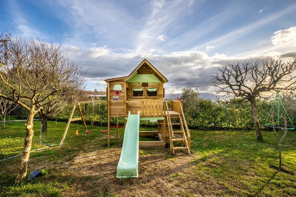 Day, Natural landscape, Children play ground, Garden, Garden view