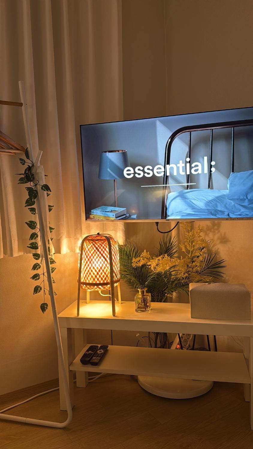 TV and multimedia