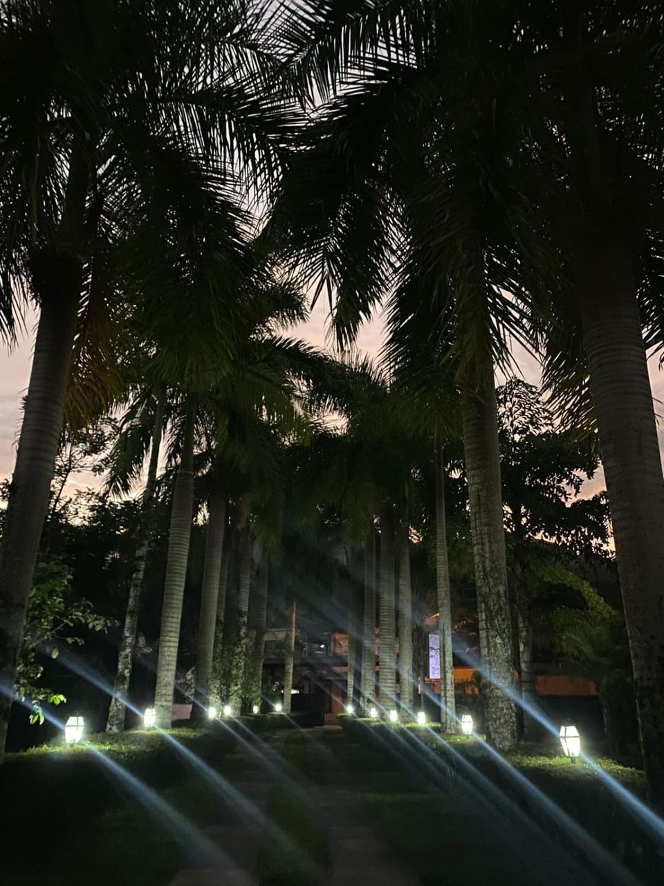 Spring, Day, Night, Natural landscape, Garden view