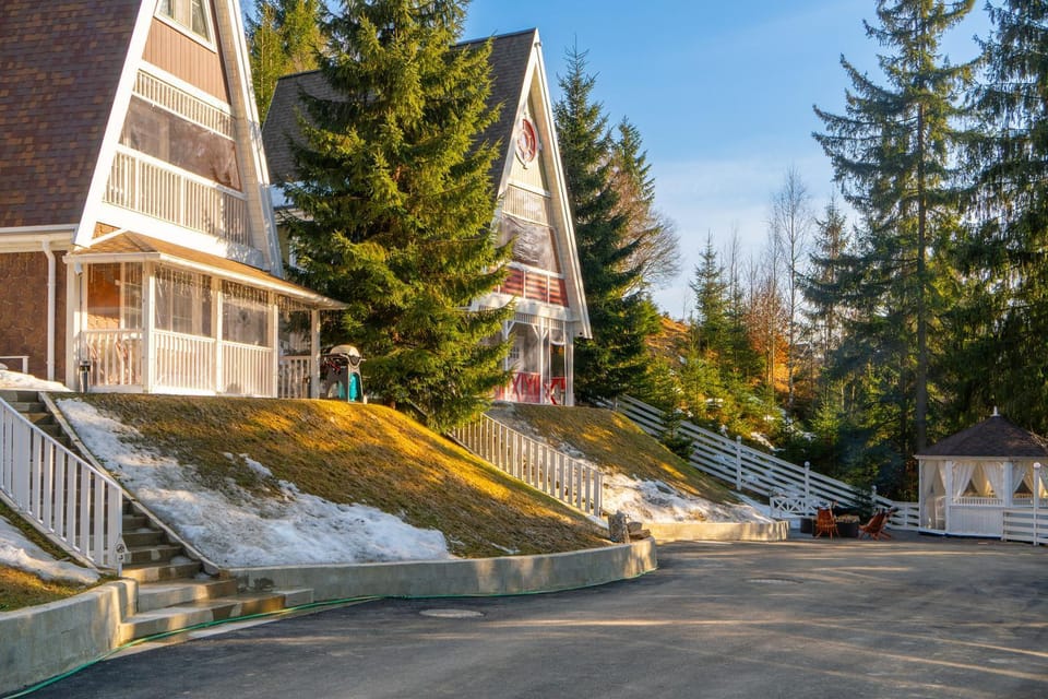 Property building, Spring, Natural landscape, Street view