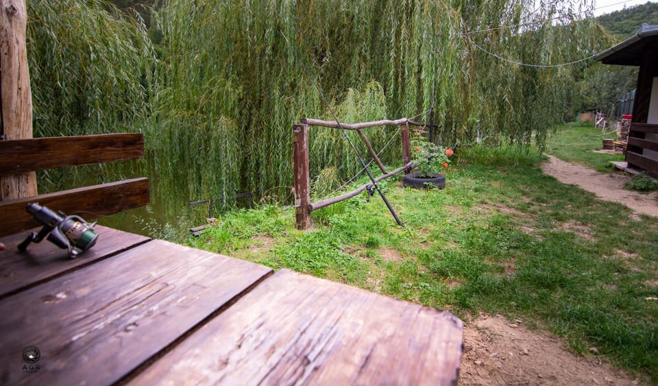Natural landscape, Fishing, Garden