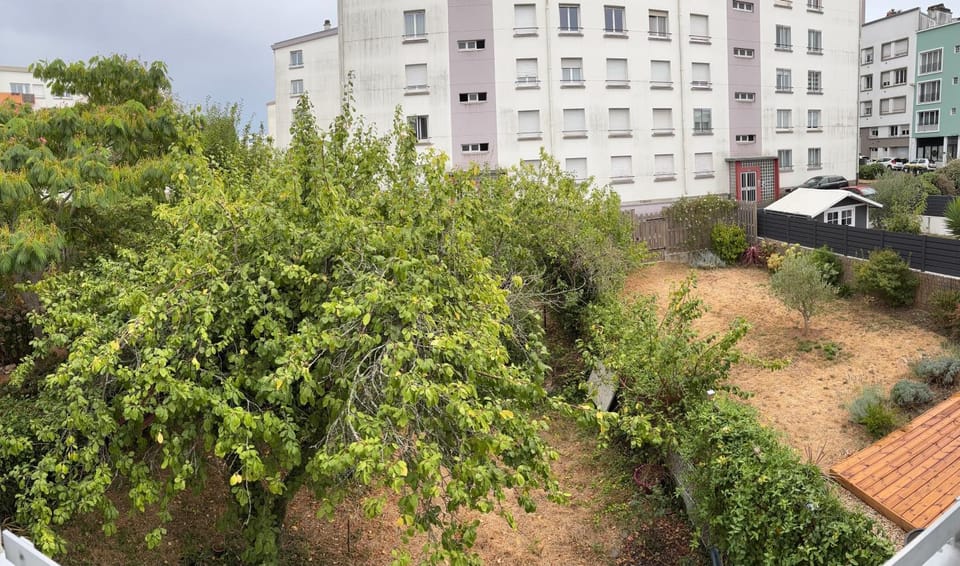 Natural landscape, Garden view