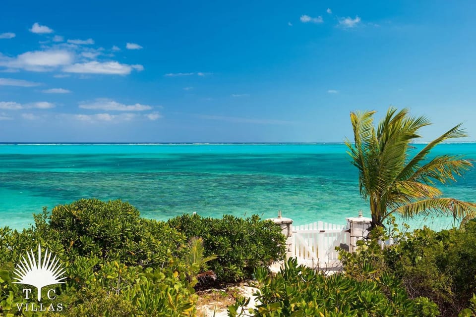Reef Beach House 4BR Cozy Island-Style on Grace Bay w Pool Villa in The Bight Settlement