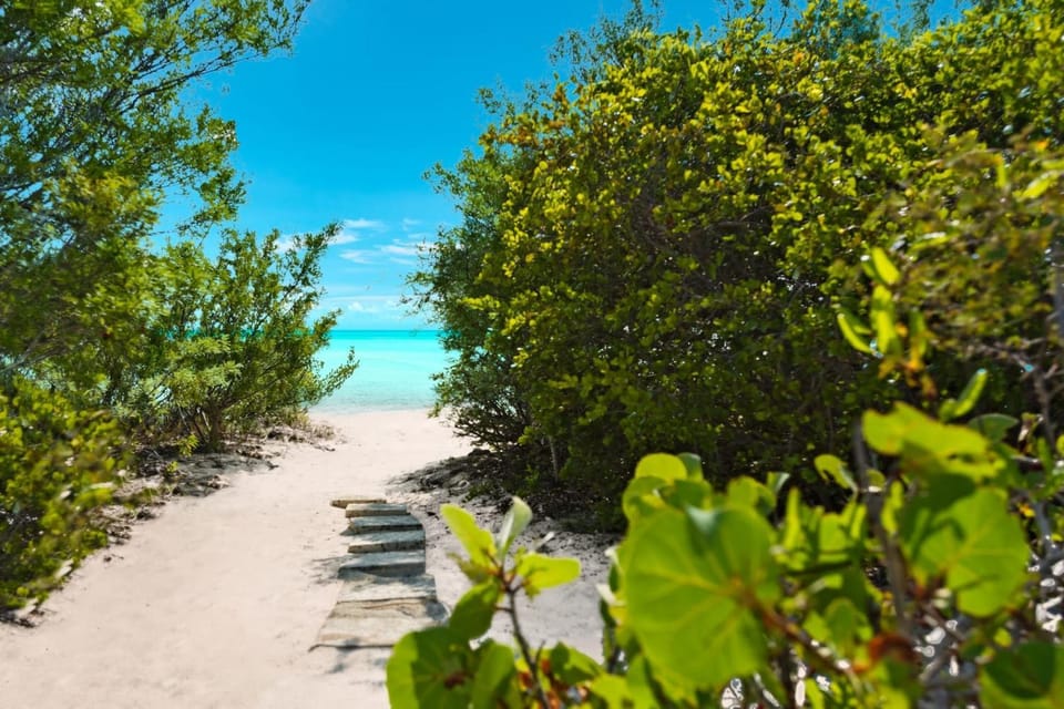 Coccoloba 2BR Beachfront w Pool Kayaks & Direct Taylor Bay Access Villa in Turks and Caicos Islands